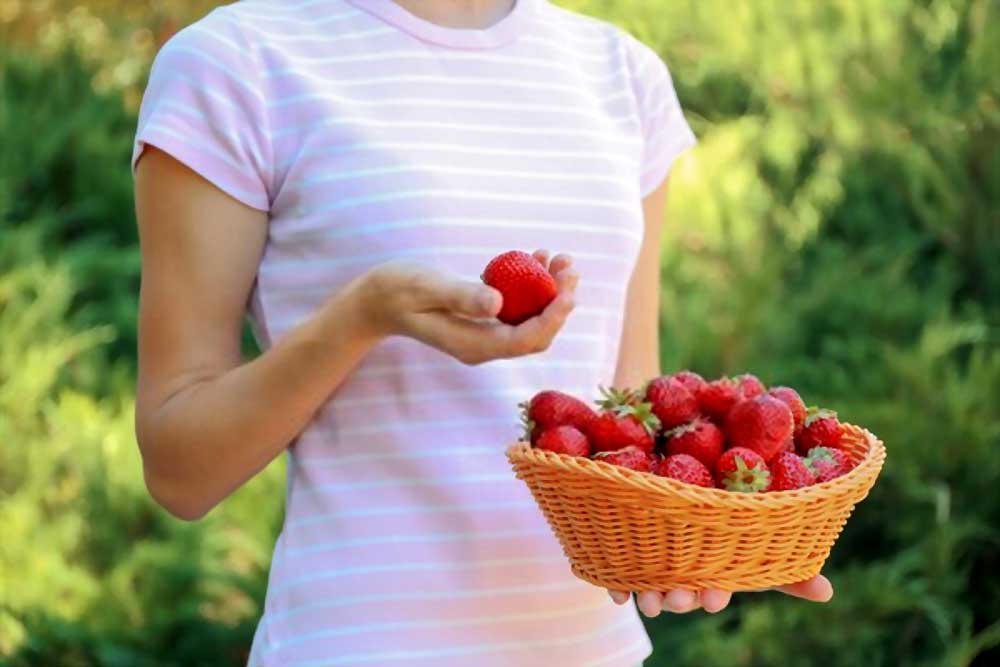 Backyard Farming